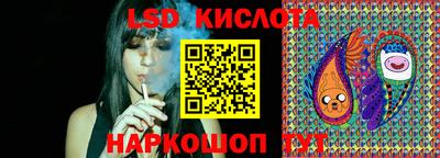 гидропоника Краснознаменск