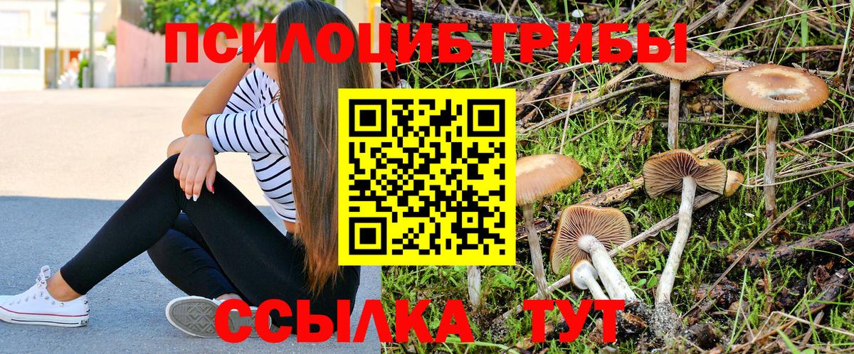 Златоуст  Галлюциногенные грибы прущие грибы  где продают наркотики  Вход с VPN 